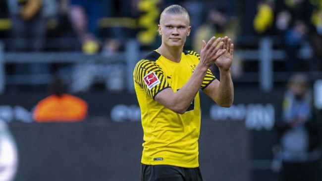 国产精品18久久久久网站